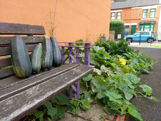 Edible Loughborough Banner